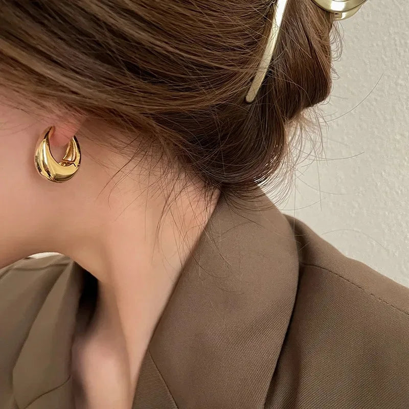 Oval 3D Metal Earrings