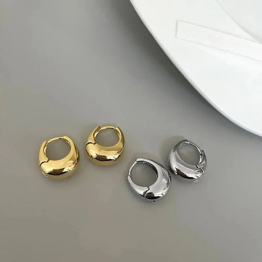 Oval 3D Metal Earrings